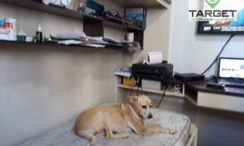 Imagem 7: Apartamento com 3 dormitórios à venda, 89 m² por R$ 650.000,00 - Perdizes - São Paulo/SP