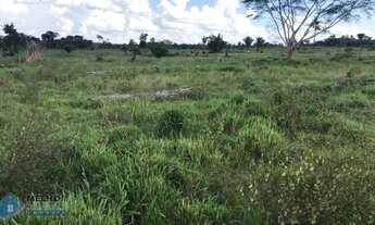 Imagem 5: Fazenda 768 Alqueires Itapuã do Oeste