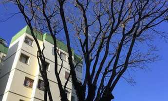 Imagem 7: APARTAMENTO PARA VENDA POSSUI 45 METROS QUADRADOS COM 2 QUARTOS