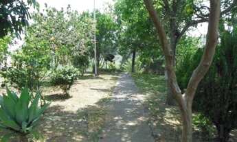 Imagem 2: Em Jardim Pinheiros - São Paulo