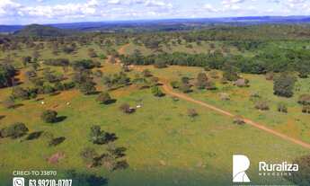 Imagem 4: Fazenda com dupla aptidão na região de Paraíso do Tocantins - TO