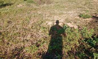 Imagem 3: Terrenos Conjunto de 4 lotes 1000 m2 esquina da fazenda tapera Cabaceiras do Paraguaçu