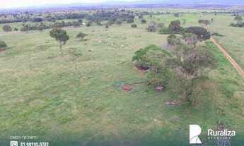 Imagem 3: Fazenda com aptidão para pecuária na região de Itaporã do Tocantins - TO