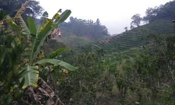 Imagem 4: Sitio Viana 6 hequitares