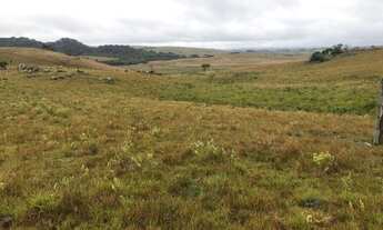 Imagem 6: CHÁCARAS RINCÃO DAS FLORES - CAXIAS - PRÓXIMO ROTA DO SOL