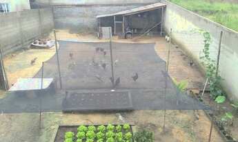 Imagem 7: Lote murado com 200 m2 no Bairro Colonial