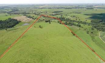 Imagem 2: Fazenda em Guararapes/SP - Pecuária