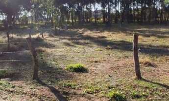 Imagem 4: Lindo terreno aproximadamente 600mts do asfalto da Ambev