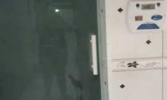 Imagem 7: Casa para aluguel possui 360 metros quadrados com 4 quartos