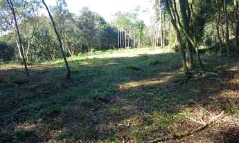 Imagem 7: Sítio 9 hectares com vísta panorâmica próximo de Gramado