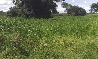 Imagem 5: Fazenda de 830 Hectares, Toda Plana, Solo Argiloso, Margeando 2,5 km Rio São Francisco - J
