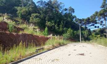 Imagem 6: 2 Terrenos juntos 520,70m2 + 590,81m2 de frente para a vínicola argenta