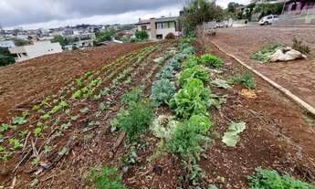 Imagem 7: Terreno para venda possui 550² Ronda Alta - RS