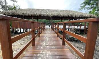 Imagem 3: Lote 245m² em Barreirinhas Prainha MKT¨TR144015¨-03