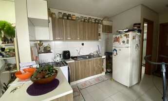 Imagem 6: FARROUPILHA - Padrão - São Francisco