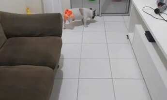 Imagem 2: ! Residencial dos Passáros 55797