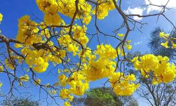 Imagem 3: Chácara Chácara com venda por R$170.000