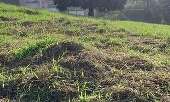 Imagem 2: Oportunidade ! Terrenos no Pedra Branca