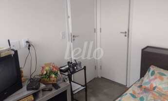 Imagem: São Paulo - Apartamento Padrão - Cambuci