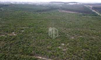 Imagem 5: 620.000m² plano em localização com fácil acesso pela BR 101 Terreno para Grandes Empreendi