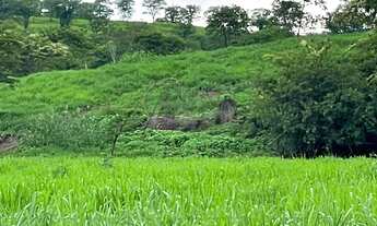 Imagem 7: Terreno com Área Verde em Local Tranquilo