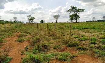 Imagem 6: Chácara de 7.32 alq. Em professor Jamil Goiás 2.200.000