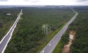 Imagem 3: 620.000m² plano em localização com fácil acesso pela BR 101 Terreno para Grandes Empreendi