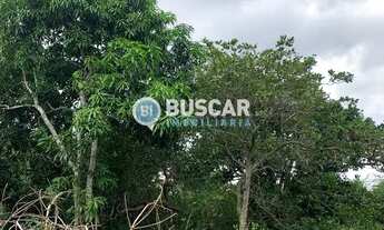 Imagem 4: Sítio em Sim, Feira de Santana/BA