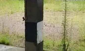 Imagem 6: Estacionamento/Garagem - venda por R$ 3.670.000 ou aluguel por R$ 6.000/mês - Praia de Bel