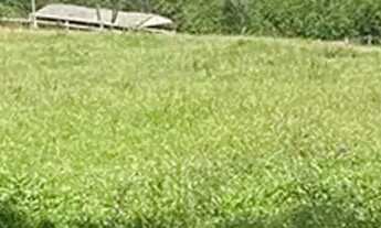 Imagem 2: Imóvel para venda tem 1000 metros quadrados em Centro - Ibiúna - SP