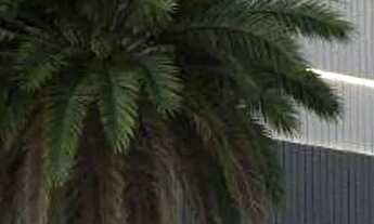 Imagem 6: FINANCIAMENTO DIRETO COM CONSTRUTORA