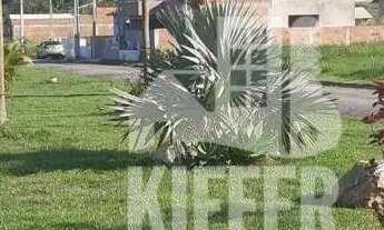 Imagem 6: Casa com 3 dormitórios à venda, 129 m² por R$ 550.000,00 - Caxito Pequeno - Maricá/RJ