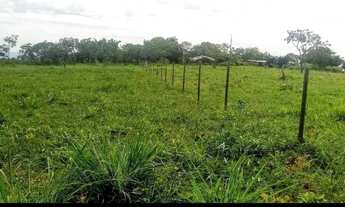 Imagem 4: Vende-se terreno na comunidade santa Rita rural