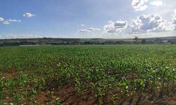 Imagem 3: Vendo o melhor sítio da região da Taquara DF