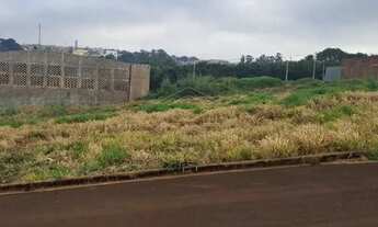 Imagem: DISTRITO COMERCIAL ANTONIO CAPELAZZO - IGARAÇU