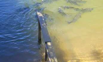 Imagem 2: Vendo chácara escriturada e registrada na embrapa