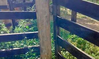 Imagem 7: A&M IMOVEIS VENDE EXELENTE FAZENDA COM 101,64 HECTARES