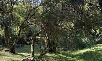 Imagem 5: Terreno à venda, Fiuza - Viamão/RS