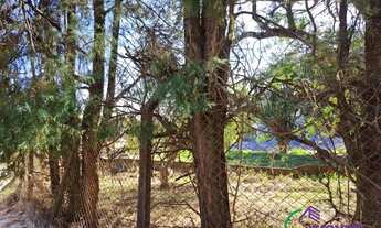 Imagem 2: TERRENO - CHÁCARAS SILVANIA - SP