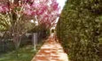 Imagem 2: Ceci- Vivenza, Conforto e Elegância em Casa Amarela, 2 e 3 quartos, 48m² e 57m²