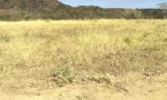 Imagem 3: Vende-se uma excelente fazenda de 530 hectares