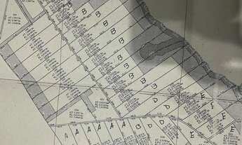 Imagem 3: Terreno 3 hectares