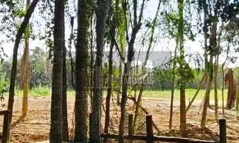 Imagem 2: More ou invista junto à natureza exuberante da ilha!