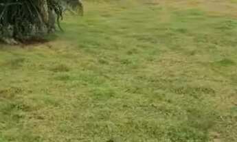 Imagem 5: Sítio próximo campina verde