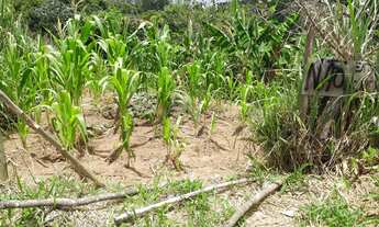 Imagem 4: Lote em Bicas Terreno / lote com venda por R$120.000