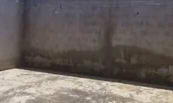 Imagem 3: Grande Oportunidade de Negócio