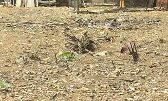 Imagem 1: EXCELENTE LOTE NA QD 37 JARDIM BRASILIA 2