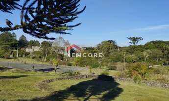 Imagem 2: Lote em Ruas Maracujás - Colinas - São Francisco de Paula/RS