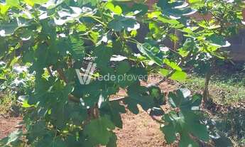 Imagem 7: Terreno disponível para venda em Barão Geraldo - Campinas/SP