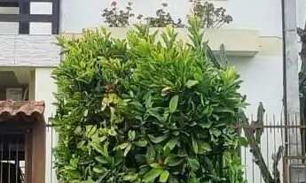 Imagem 2: Ótima residência com 3 dormitórios, sendo 1 suíte, lareira e piscina